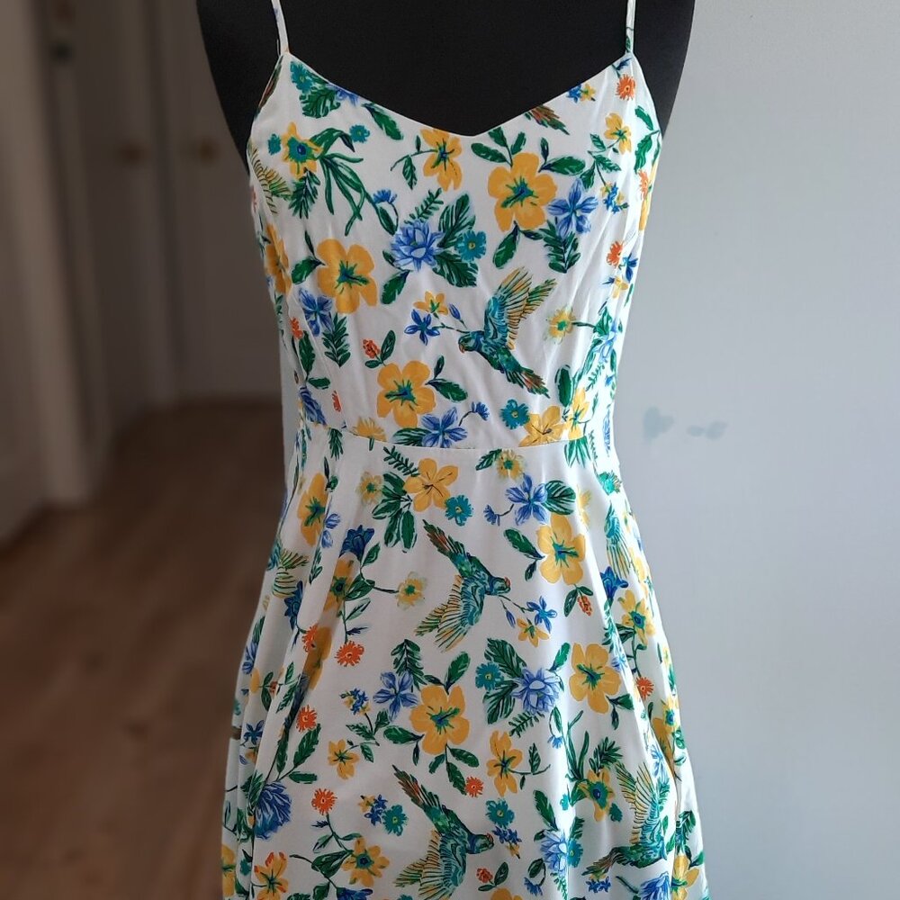 Fit and Flare Floral and Bird Pattern Dress